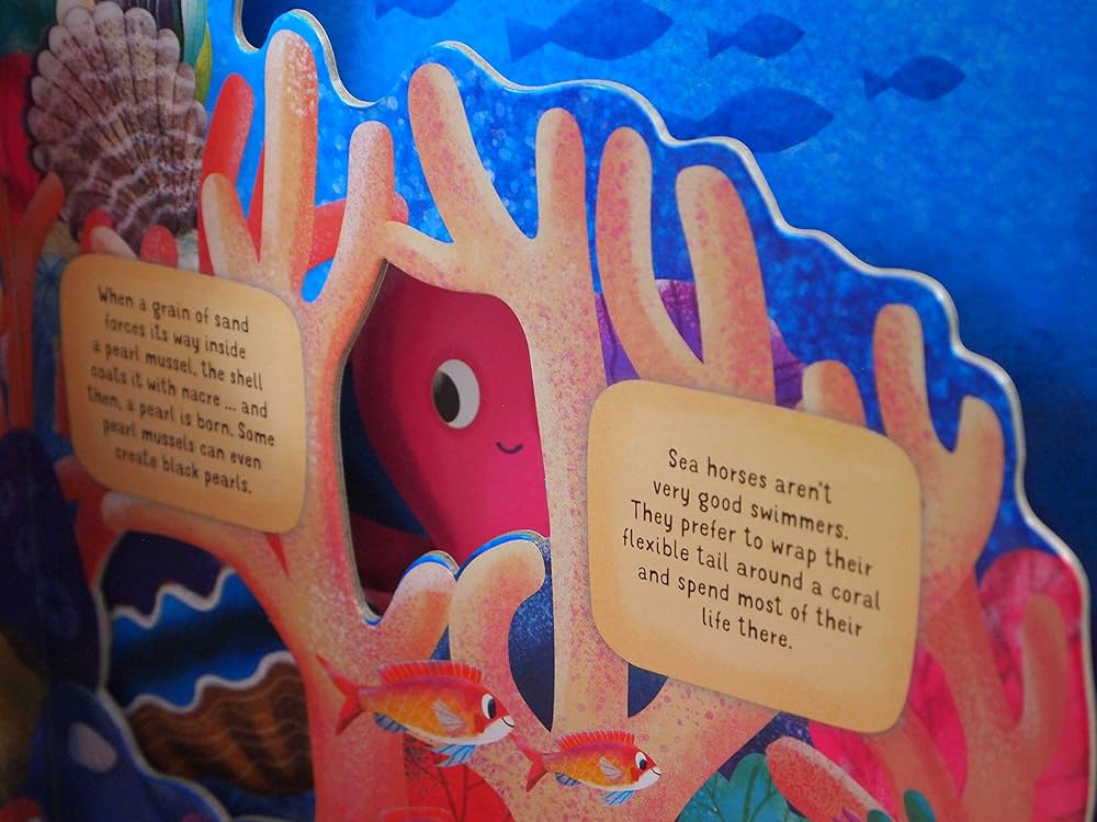 Discovering the Secret World Coral Reef