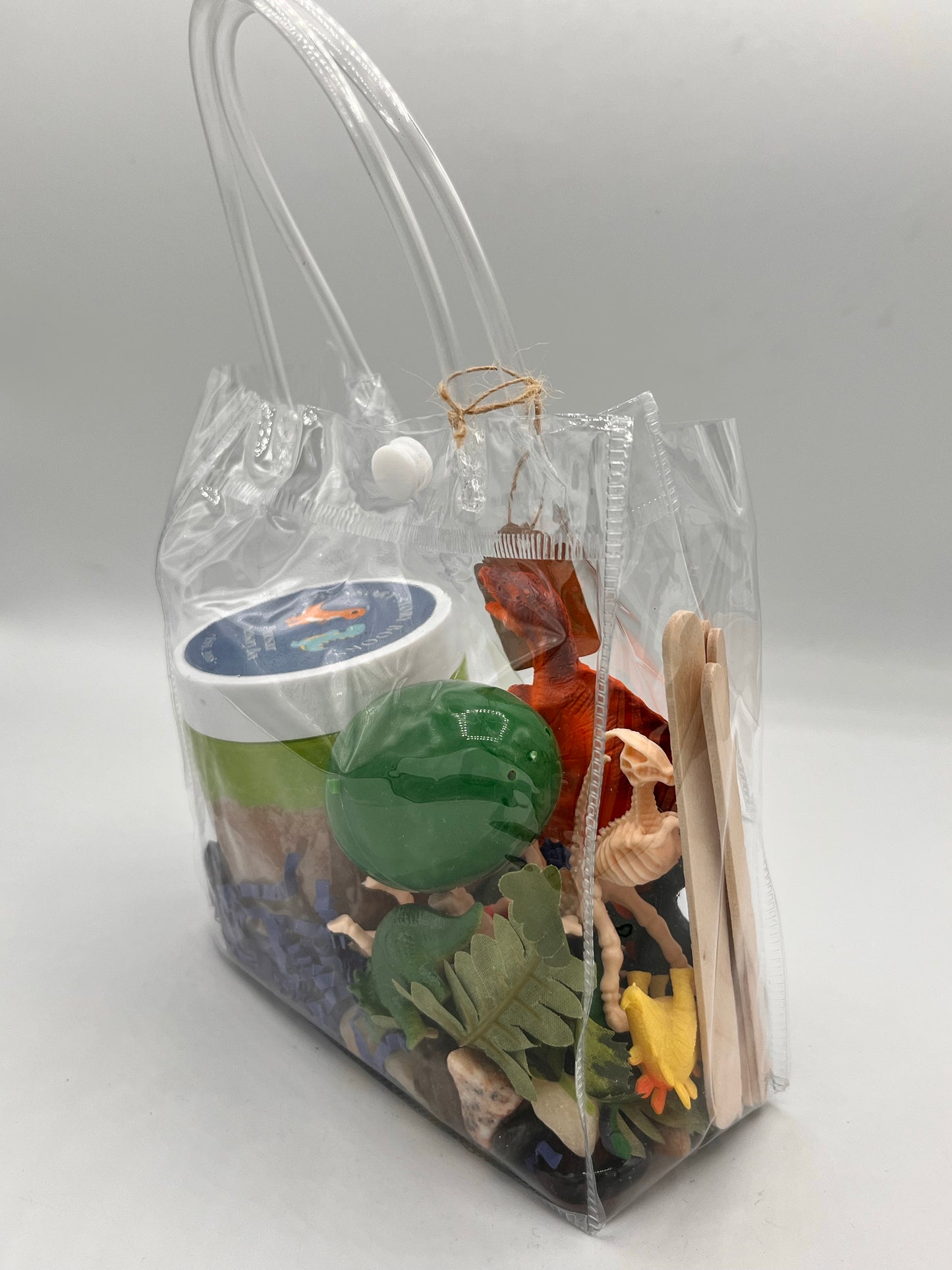 Dinosaur Sensory Bag