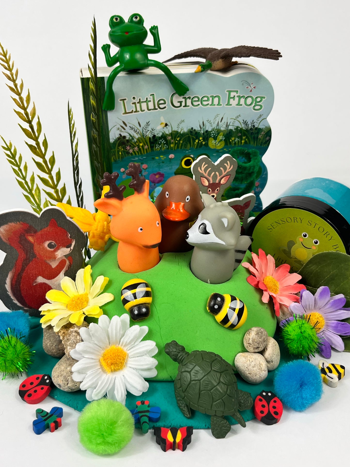 Little Green Frog Sensory Box