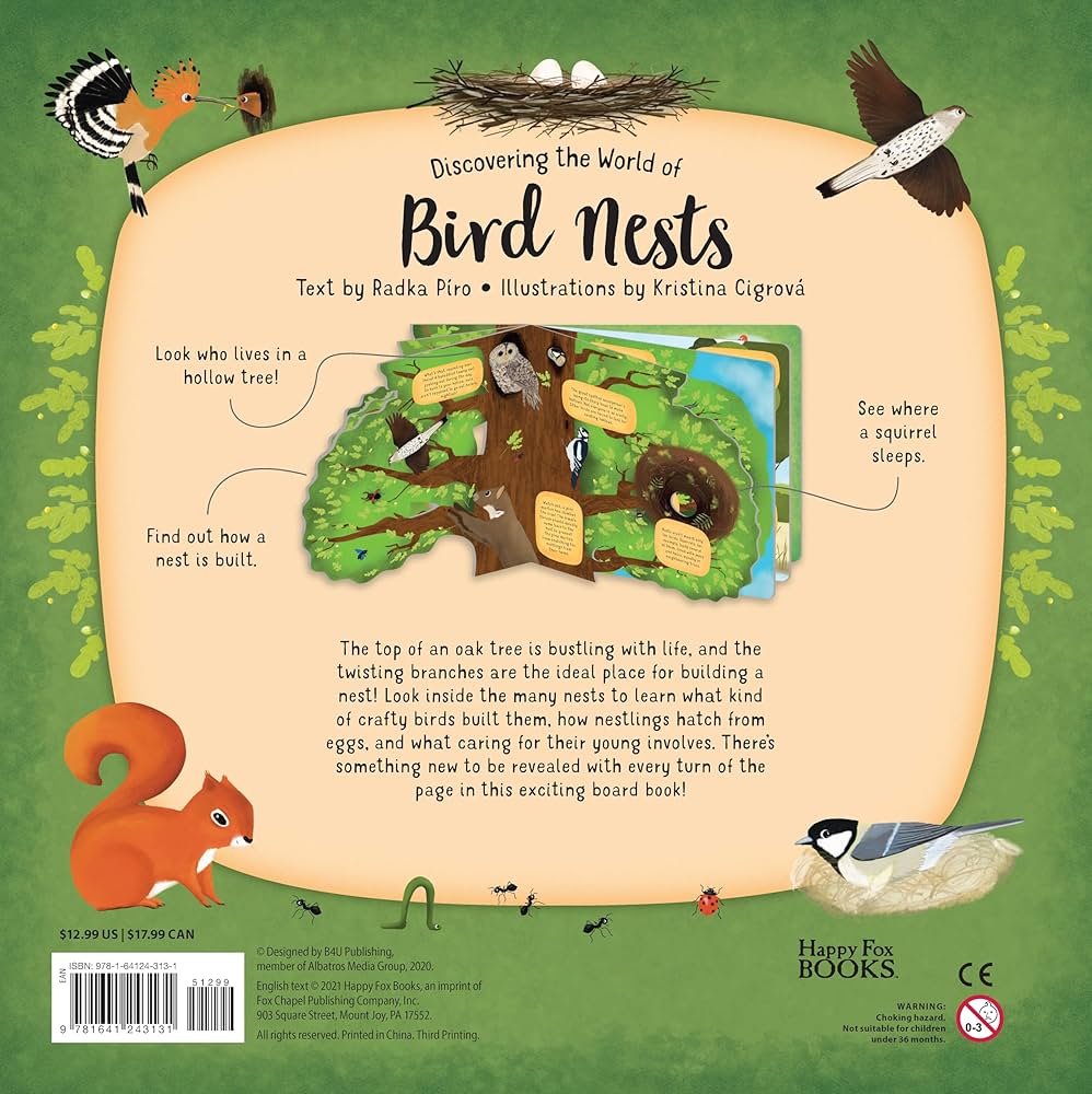 Discovering the World of Bird Nests