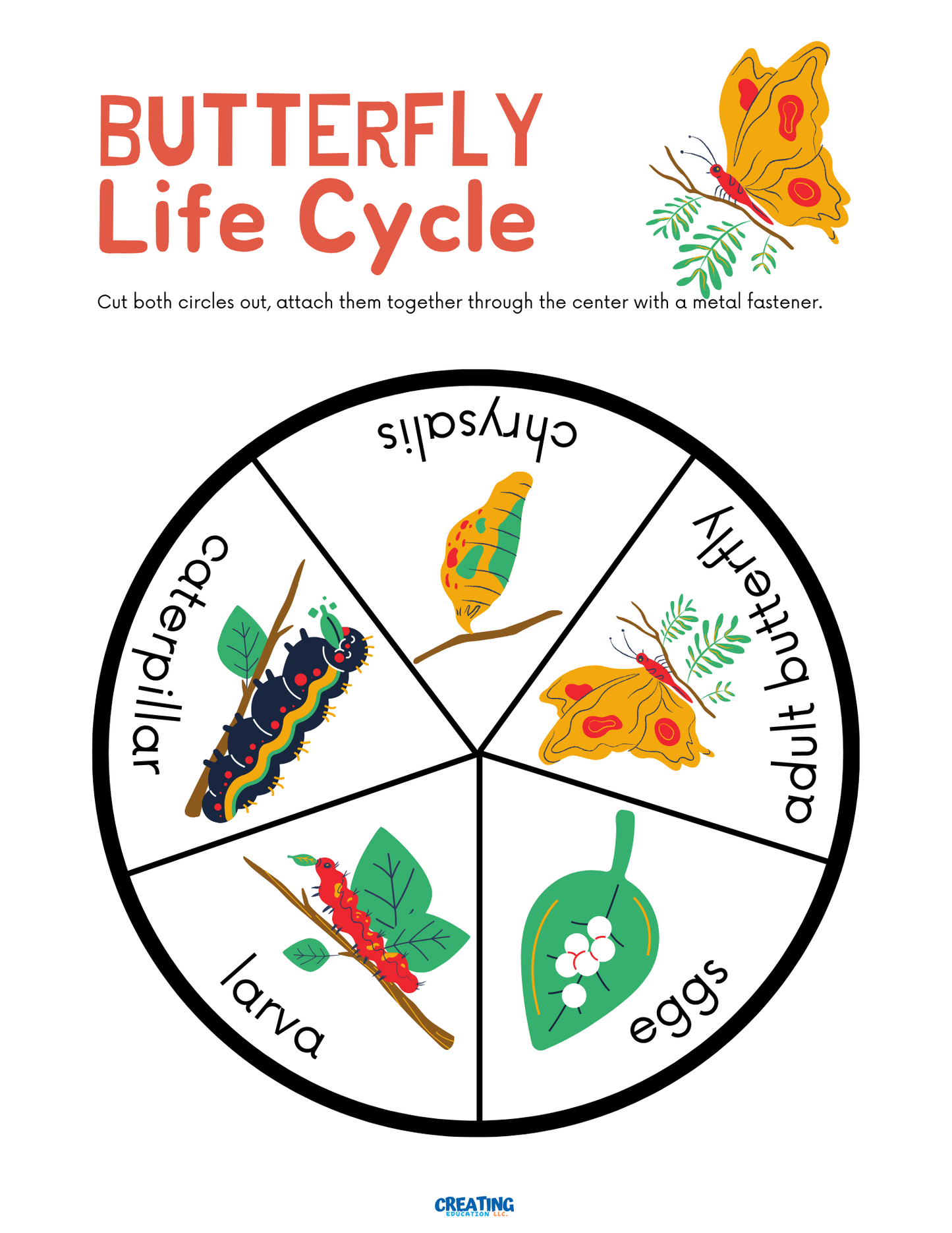 The Very Hungry Caterpillar Literature Study