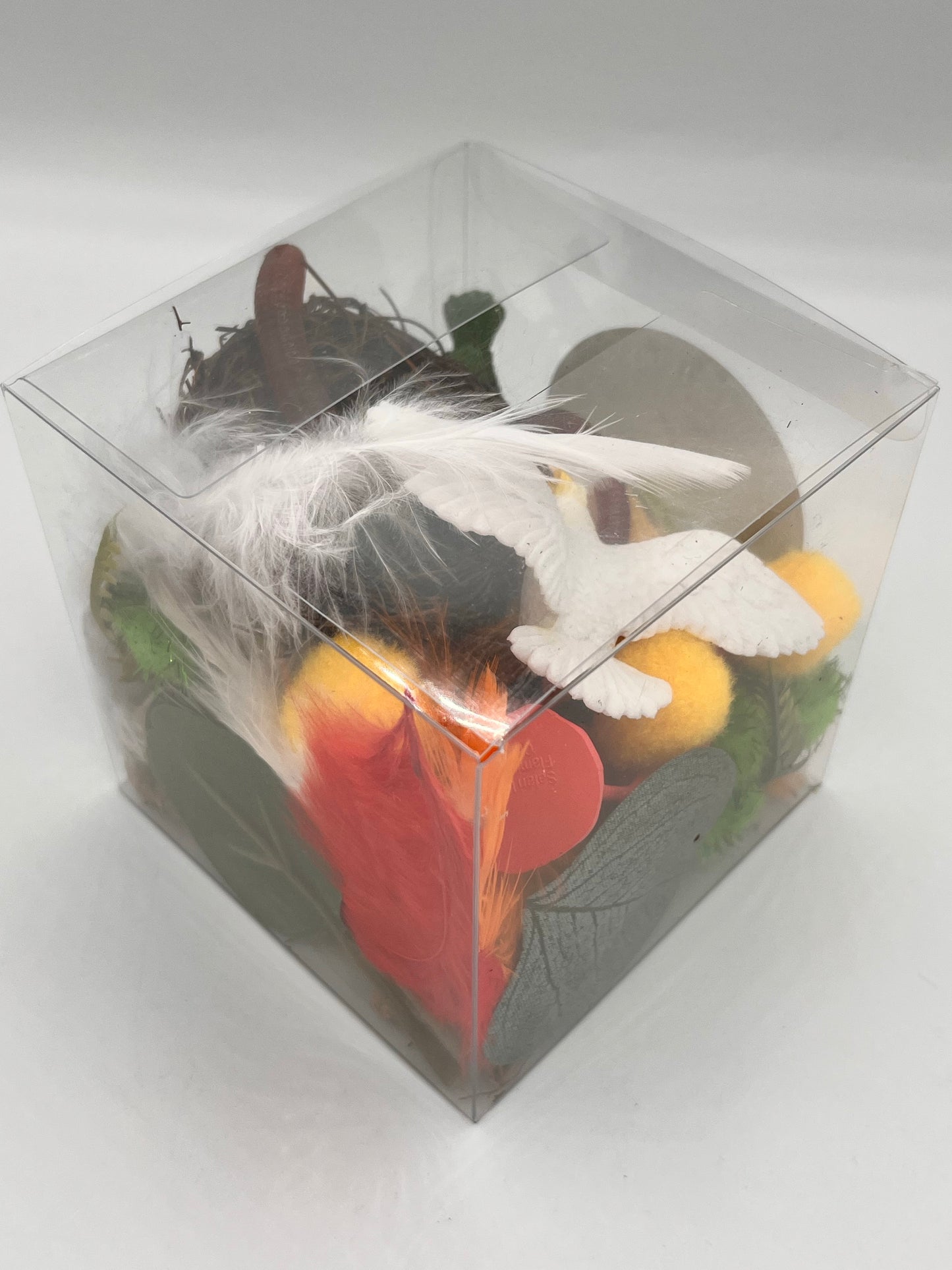 Birds Sensory Box