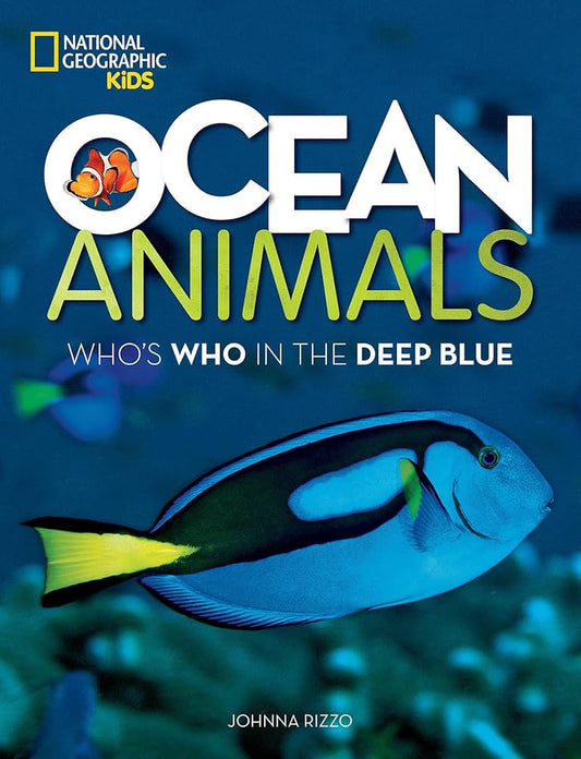 Ocean Animals Who’s Who in the Deep Blue