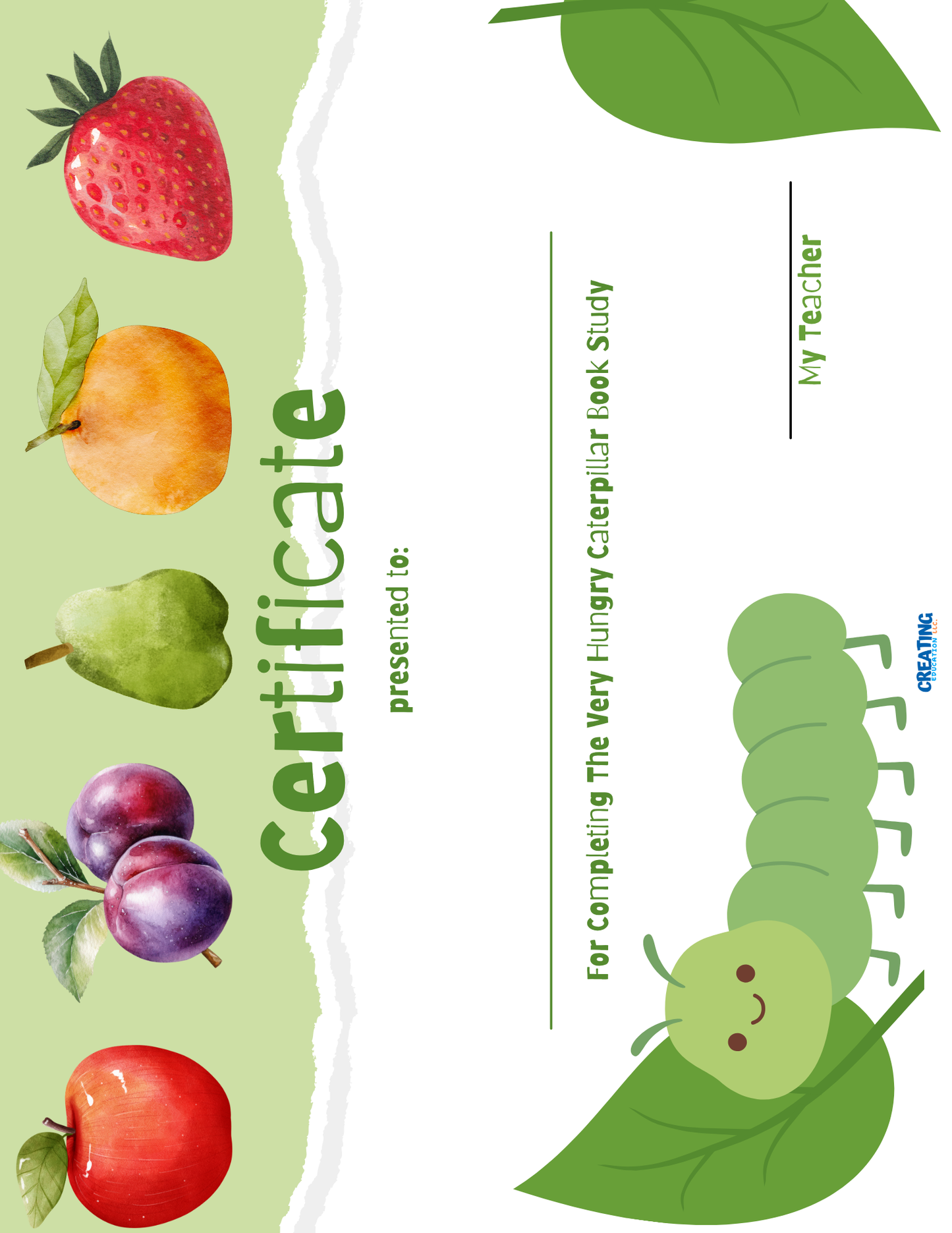 The Very Hungry Caterpillar Literature Study