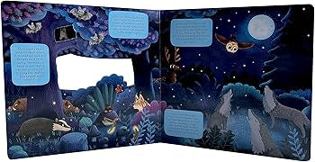 Discovering the Hidden World of Nature at Night