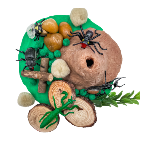 Insect Sensory