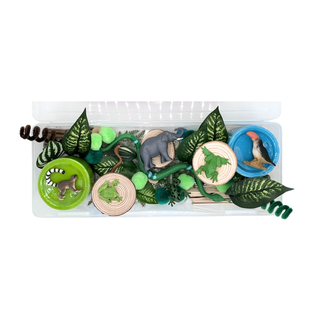 Rainforest Sensory