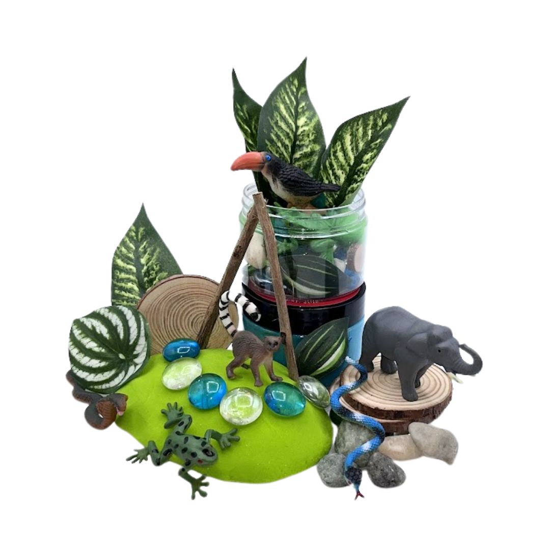 Rainforest Sensory