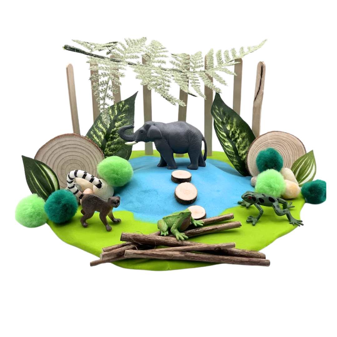 Rainforest Sensory