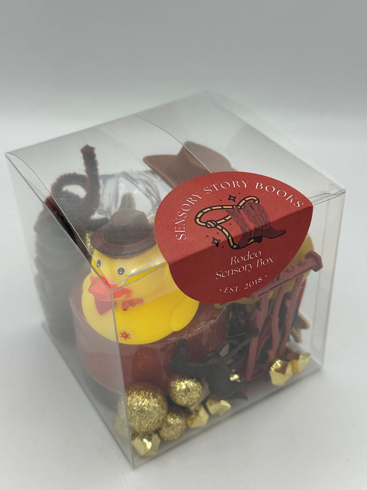 Rodeo Sensory Box