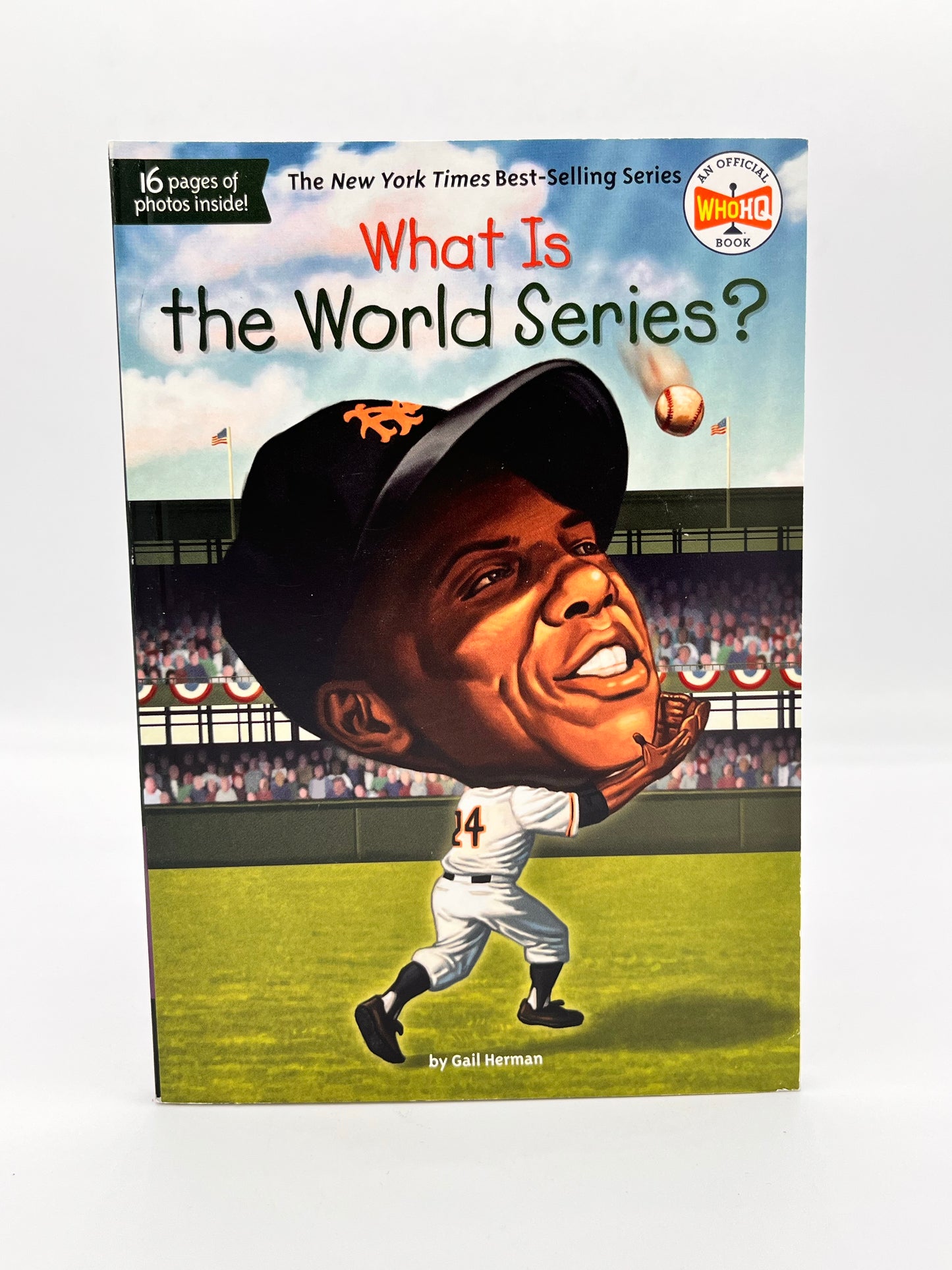 What is The World Series