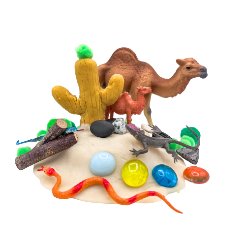 Desert Sensory