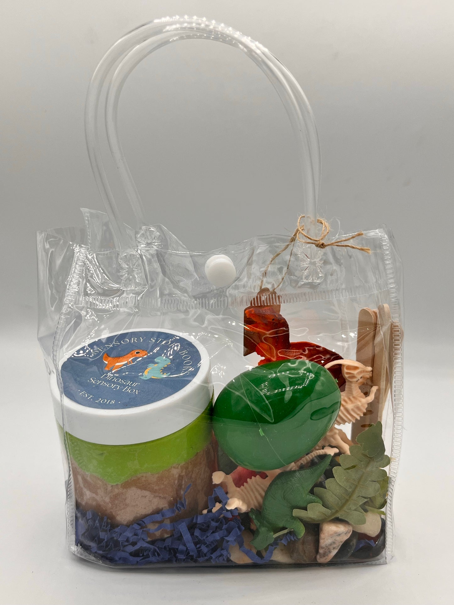 Dinosaur Sensory Bag